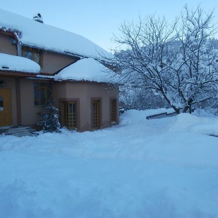 Karpatskiy Domyk Izky Exterior foto