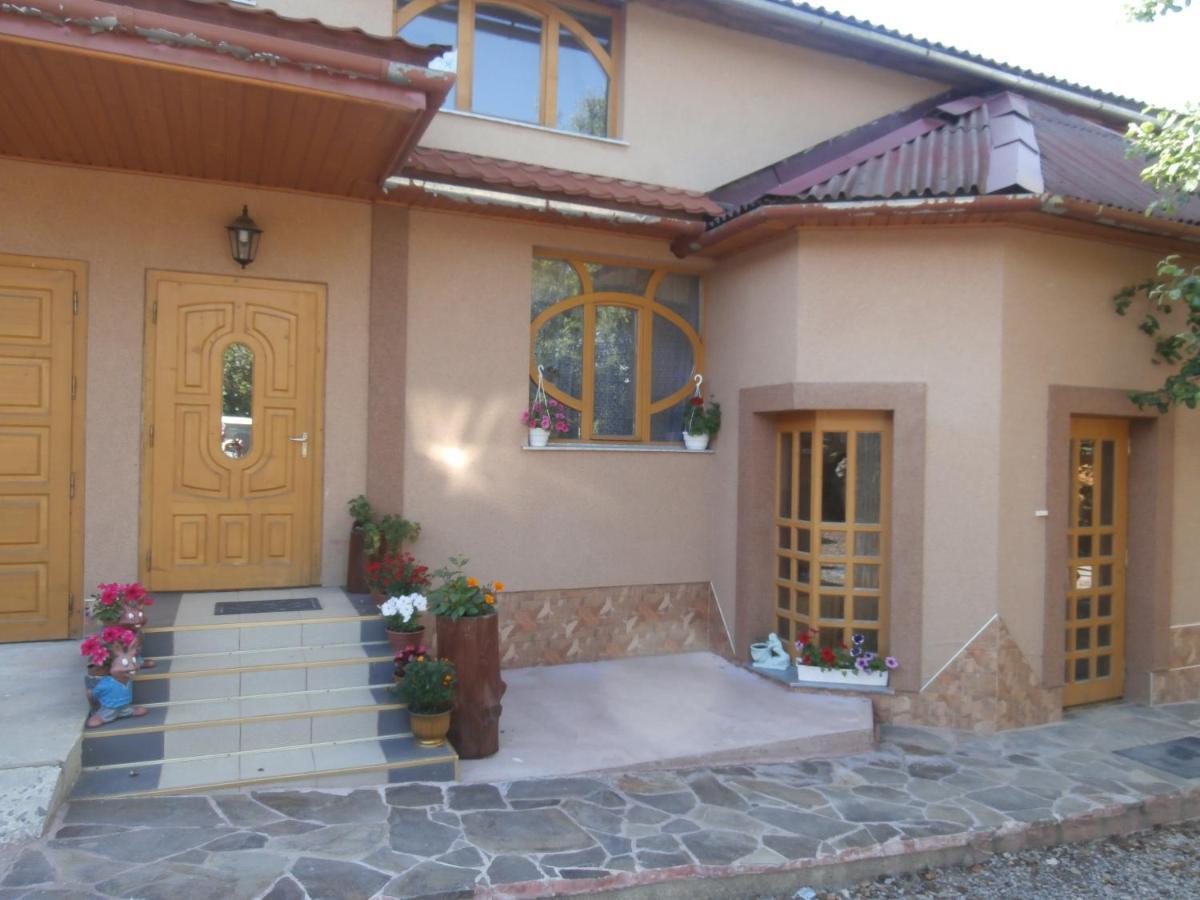 Karpatskiy Domyk Izky Exterior foto