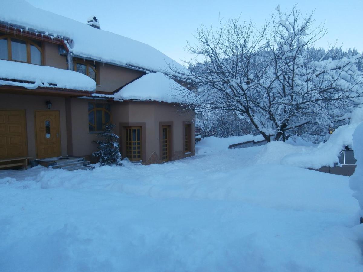 Karpatskiy Domyk Izky Exterior foto